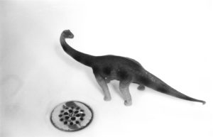 black & white photograph of a toy dinosaur next to a bathtub drain