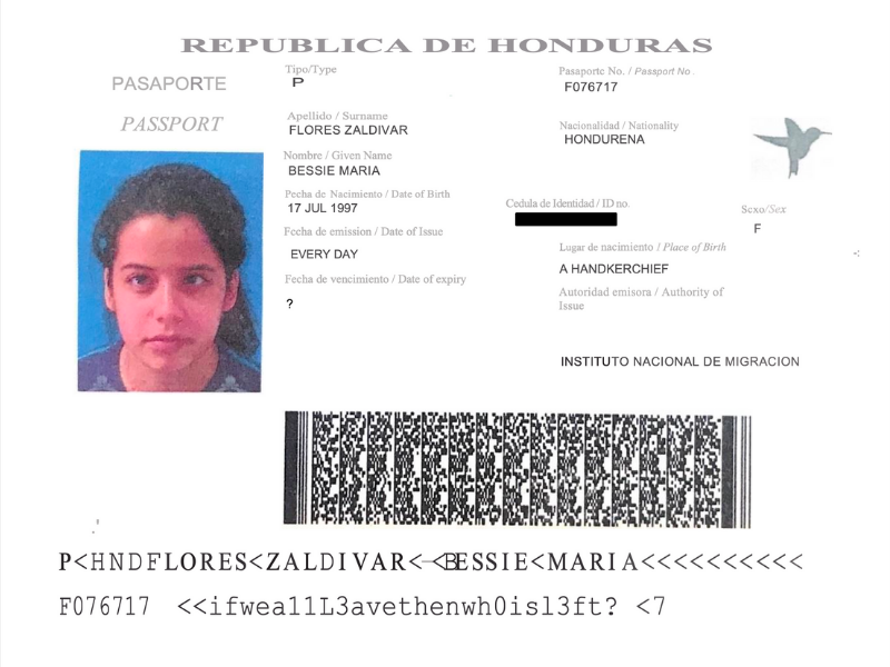 The author's expired Honduran passport, edited to say "ifweallL3avethenwh0isl3ft?"