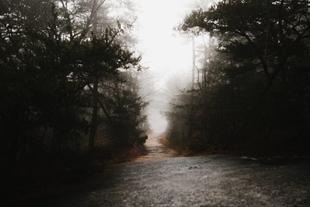 lt text: image is a sepia photograph of a forest entrance; title card for the new craft essay "Hauntings of the Past, Hauntings of the Future: Crafting Dreams in Fiction" by @AudreyTCarroll