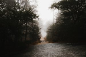 lt text: image is a sepia photograph of a forest entrance; title card for the new craft essay "Hauntings of the Past, Hauntings of the Future: Crafting Dreams in Fiction" by @AudreyTCarroll
