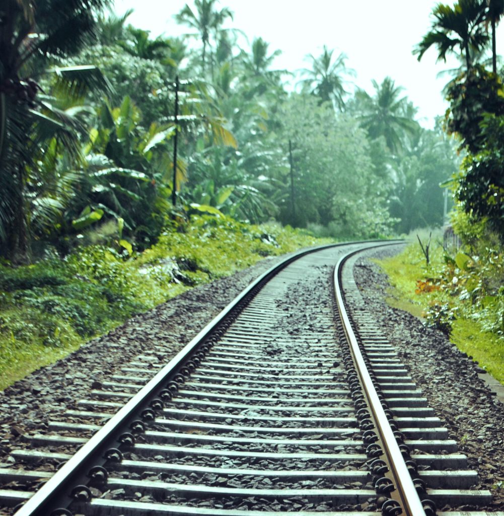 alt text: image is a color photograph of train tracks in a tropical environment; title card for the flash fiction piece "Fangs" by Tara Isabel Zambrano