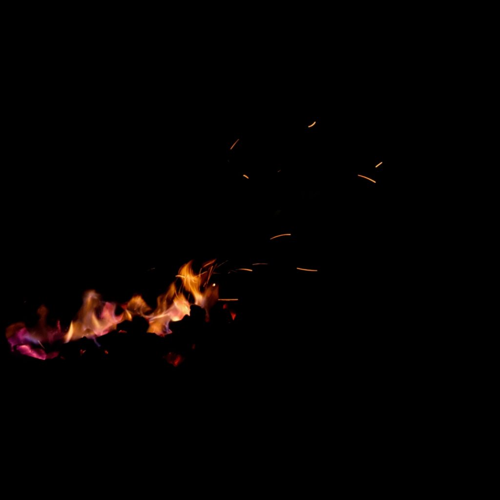 alt text: image is a color photograph of a small campfire; title card for the flash fiction piece The Life Cycle of Fire by Rosaleen Lynch