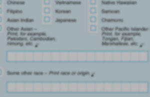 alt text: image is blurred, grayed screenshot of a government census form; title card for Jade Hilde's "Census"