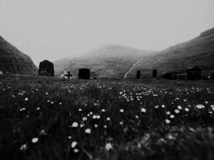 alt text: image is a black and white photograph of a cemetery; title card for the flash fiction pieces "Three Very Sad Homos" by Shastri Akella