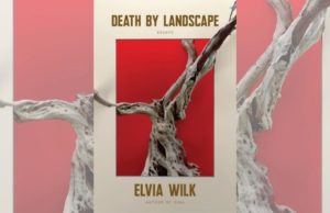alt text: image is a color photograph of the book cover for DEATH BY LANDSCAPE; title card for Claire Lobenfeld's new interview with Elvia Wilk