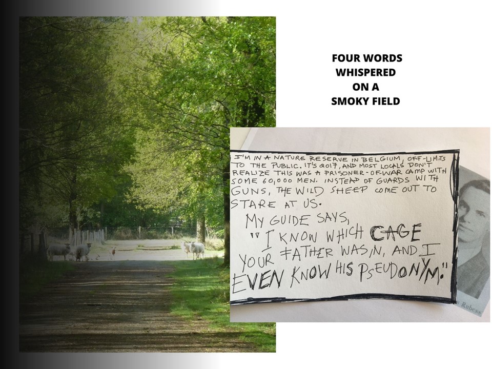 Slide 1 An image of a group of sheep under green trees. A handwritten note and a photo of a young man. Alt-text: POW Camp Zedelgem, now nature park Vloethemveld, Belgium Text: I’m in a nature reserve in Belgium, off-limits to the public. It’s 2017, and most locals don’t realize this was a prisoner-of-war camp with some 60, 000 men. Instead of guards with guns, the wild sheep come out to stare at us. My guide says, “I know which cage your father was in and I even know his pseudonym.”