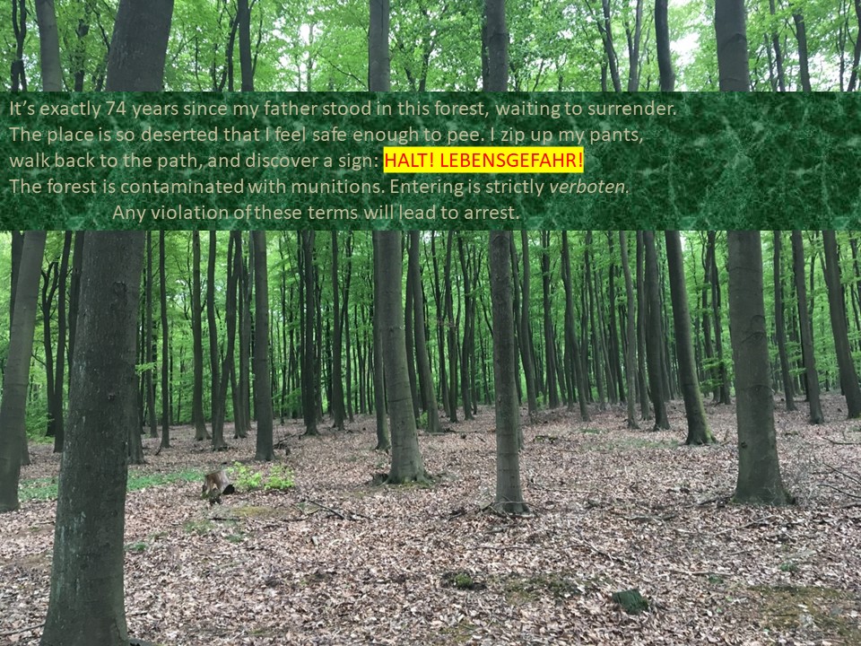 Slide 13 A photo of a forest with superimposed text. Alt-text: Buchholz forest, Germany, May 2, 2019 Text: It’s exactly 74 years since my father stood in this forest, waiting to surrender. The place is so deserted that I feel safe enough to pee. I zip up my pants, walk back to the path, and discover a sign: HALT! LEBENSGEFAHR! The forest is contaminated with munitions. Entering is strictly verboten. Any violation of these terms will lead to arrest. 